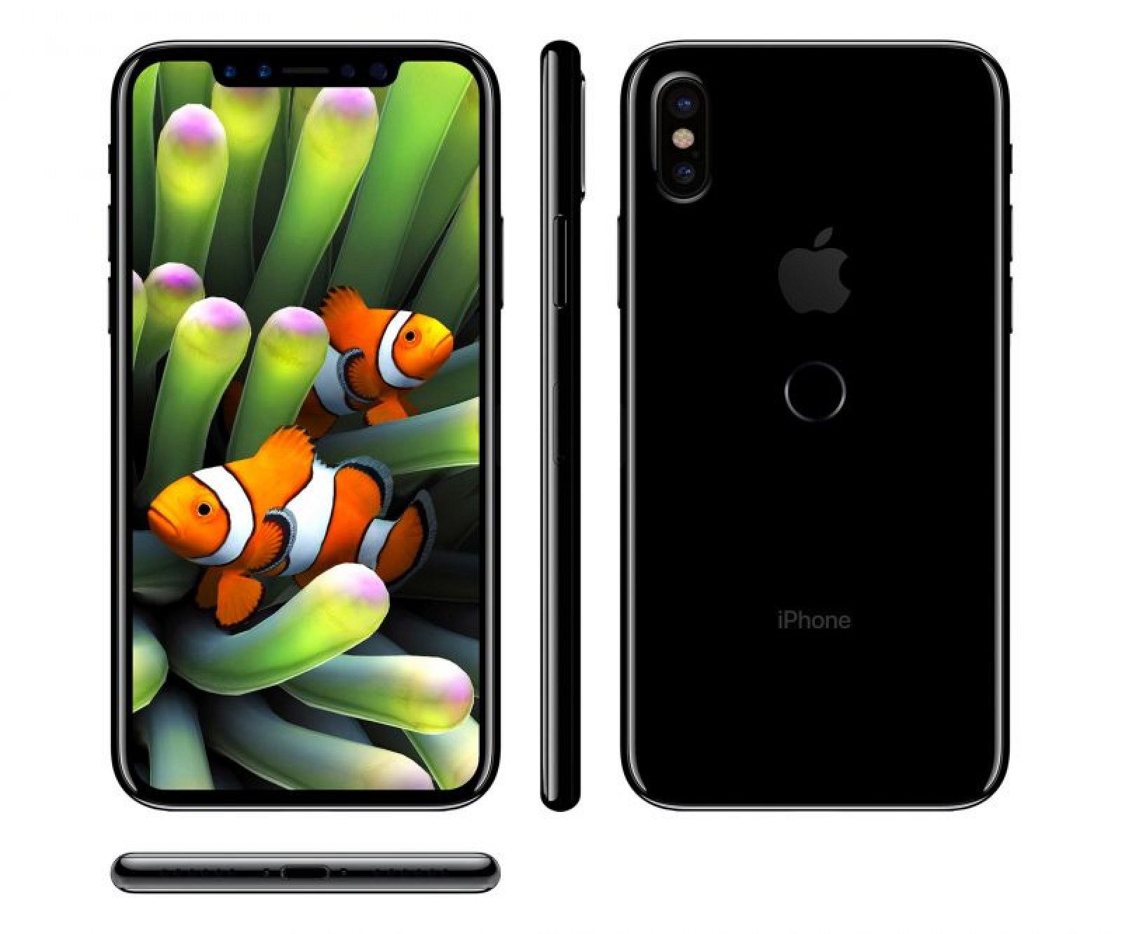 iPhone 8 images Screen-Shot-800×393iPhone-6-Touch-IDiphone-8-benjamin-geskin-800×666iphone